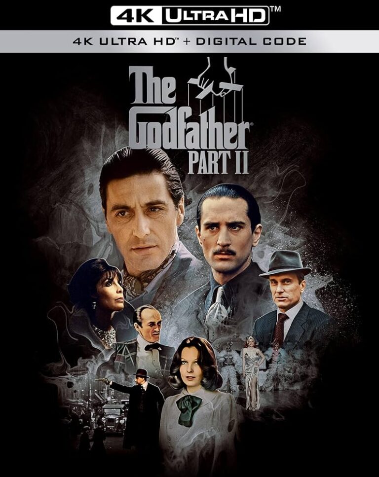 The Godfather: Part 2 (1974) Hindi Dubbed 720p 480p 