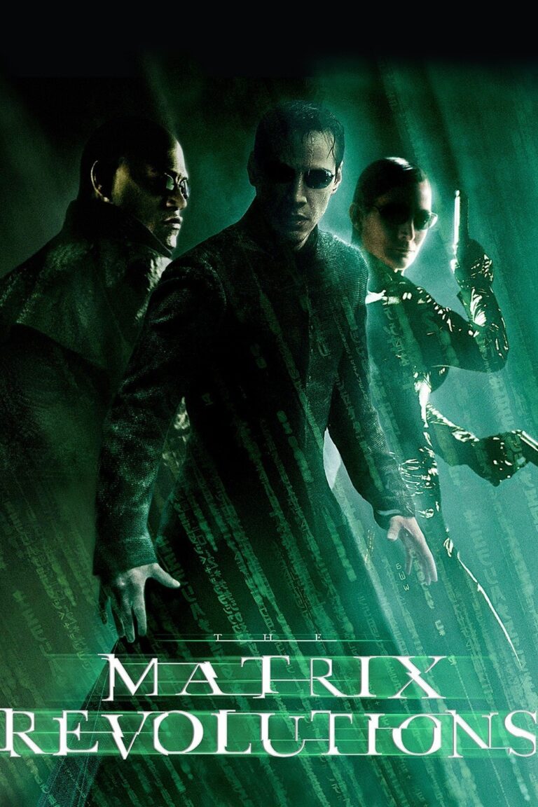 The Matrix 3: Revolutions (2003) Hindi Dubbed 720p 480p